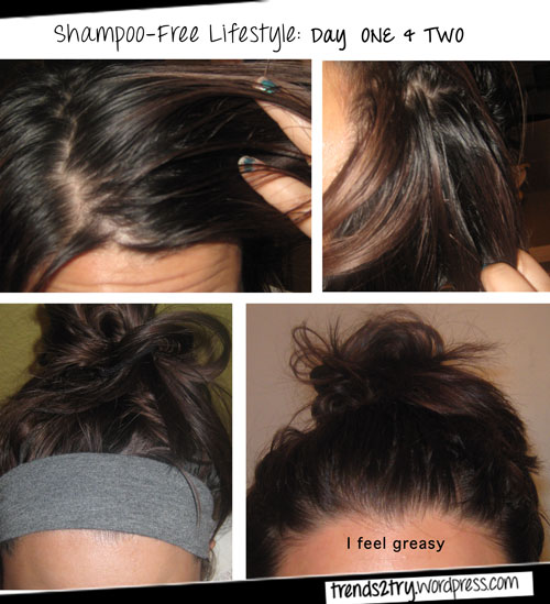 shampoo.free.lifestyle_day1_greasy_trends2try.wordpress.com
